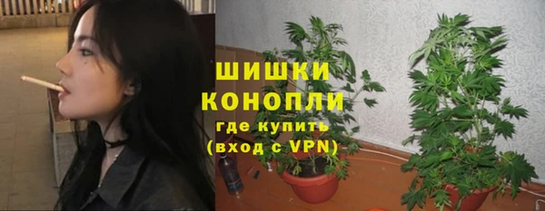 дживик Бородино