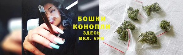 ПСИЛОЦИБИНОВЫЕ ГРИБЫ Богородск