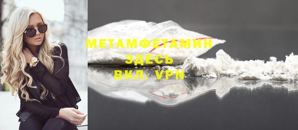 прущие грибы Богданович