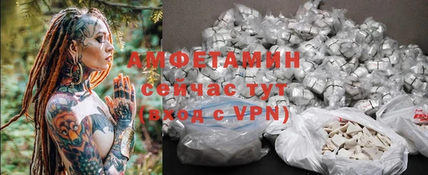 дживик Бородино