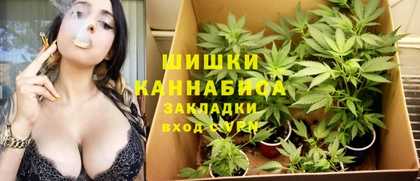 дживик Бородино