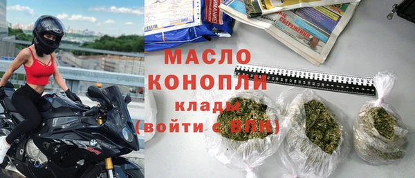 дживик Бородино