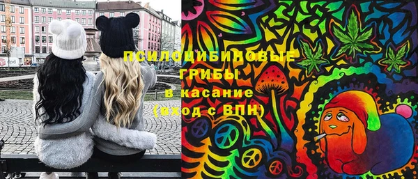 MDMA Богородицк