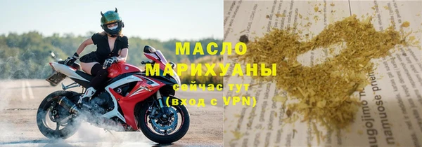 дживик Бородино