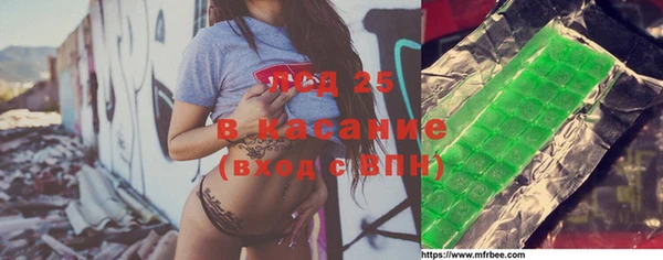 дживик Бородино